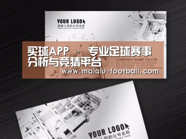 项目名称五