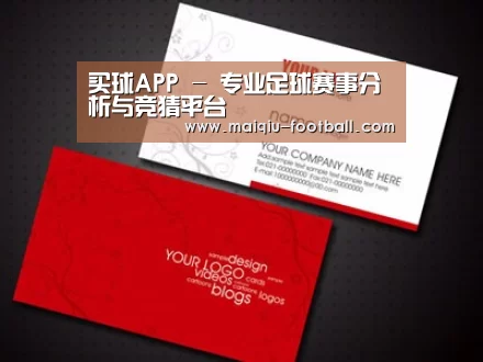 项目名称八