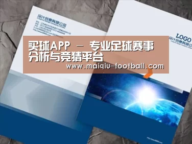 项目名称十