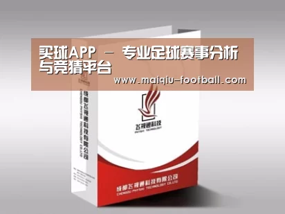 项目名称十三