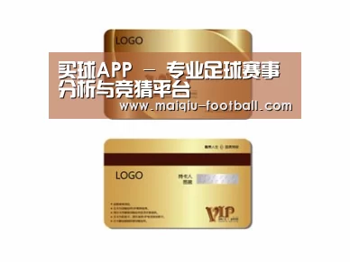 项目名称三
