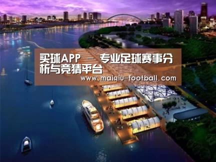 案例展示八