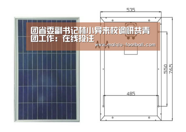 团省委副书记林小异来校调研共青团工作:在线投注(图2) 赛事分析