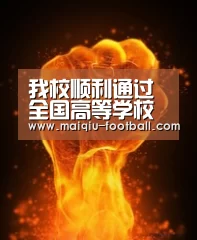 我校顺利通过全国高等学校来华留学质量认证|买球APP(图3) 足球竞猜