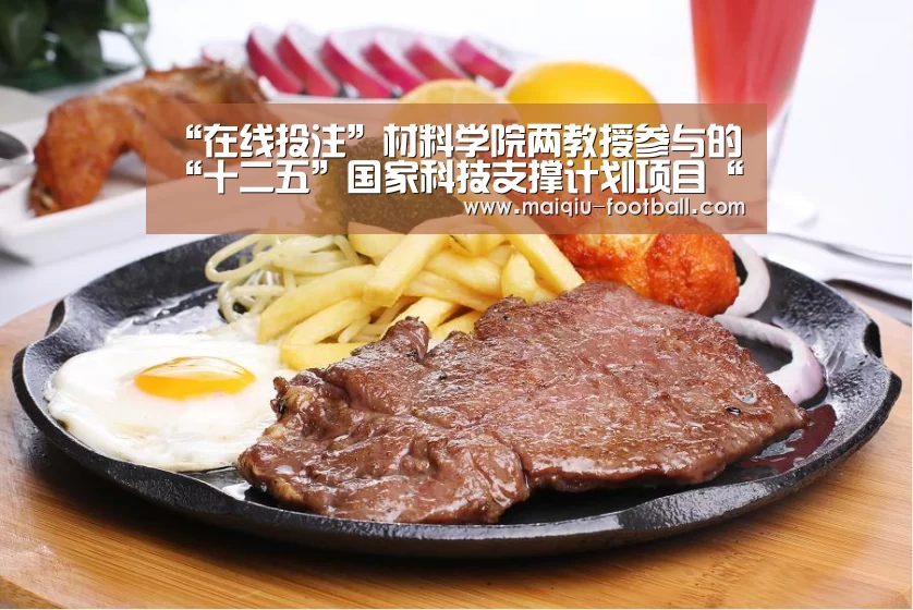 “在线投注”材料学院两教授参与的“十二五”国家科技支撑计划项目“木质复合材料制造关键技术研究与示范”在京顺利通过课题验收(图1) 买球APP