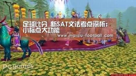足球比分_新SAT文法考点深析:小标点大功能(图3) 足球竞猜